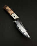 Stainless Clad EDC / Buckeye Burl